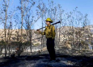 Understanding Fire Containment: Definition and Importance understanding-fire-containment-definition-and-mportance