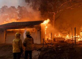 Understanding the Causes of Fires in LA: Hollywood Hills, Palisades, and Eaton Fires Explained understanding-the-causes-of-fires-in-la-hollywood-hills-palisades-and-eaton-fires-explained