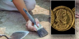 unearthing-a-rare-hoard-of-ancient-roman-coins-archaeologists-left-perplexed