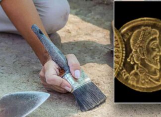 Unearthing a Rare Hoard of Ancient Roman Coins: Archaeologists Left Perplexed unearthing-a-rare-hoard-of-ancient-roman-coins-archaeologists-left-perplexed
