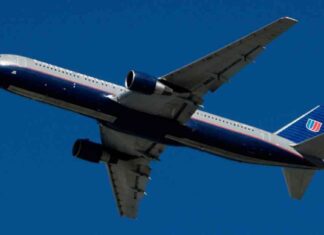 United Airlines Flight Hits Coyote During Takeoff at Chicago O’Hare Airport united-airlines-flight-hits-coyote-during-takeoff-at-chicago-ohare-airport