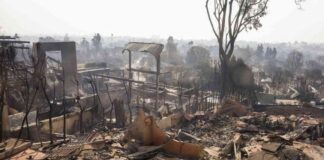 update-on-los-angeles-wildfires-current-containment-percentages