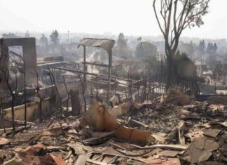 Update on Los Angeles Wildfires: Current Containment Percentages update-on-los-angeles-wildfires-current-containment-percentages