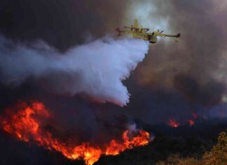 Water Drop Videos Offer Sweet Relief for Angelenos Tired of Fires water-drop-videos-offer-sweet-relief-for-angelenos-tired-of-fires