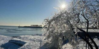 weekend-weather-forecast-anticipating-major-changes-in-chicago-area