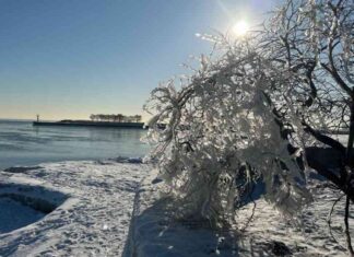Weekend Weather Forecast: Anticipating Major Changes in Chicago Area weekend-weather-forecast-anticipating-major-changes-in-chicago-area