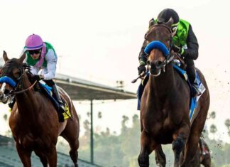 Wildfires Force Postponement of Horse Racing and College Basketball Games in Los Angeles Area wildfires-force-postponement-of-horse-racing-and-college-basketball-games-in-los-angeles-area