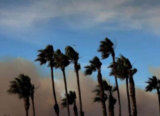 Wildfires in Riverside County prompt evacuations due to windy conditions wildfires-in-riverside-county-prompt-evacuations-due-to-windy-conditions