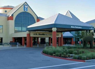 7-year-old Boy Survives Crash, Waits by Mom’s Side for Hours 7-year-old-boy-survives-crash-waits-by-moms-side-for-hours