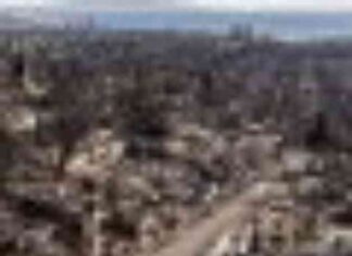 Allowing Builders to Self-Permit in Post-Fire Los Angeles allowing-builders-to-self-permit-in-post-fire-los-angeles