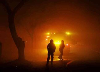 Arson Arrests in L.A.: Revealing the Burning Problem arson-arrests-in-la-revealing-the-burning-problem