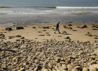 Beach Closures and Advisories: Reasons and Updates beach-closures-and-advisories-reasons-and-updates