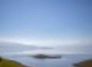 California Governor Newsom Increases Water Allocation for Farmers california-governor-newsom-ncreases-water-allocation-for-farmers