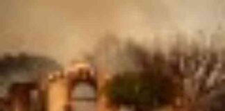 california-homeowners-to-fund-50-of-high-risk-insurers-1b-bailout