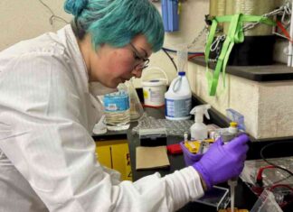 California Joins Legal Fight Against NIH Cuts california-joins-legal-fight-against-nh-cuts