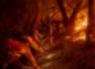 California State Senators Advocate for Increased Year-Round Firefighters california-state-senators-advocate-for-ncreased-year-round-firefighters