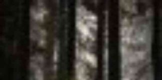 challenges-facing-california-fire-prevention-legislation