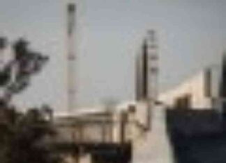 Critica de Trump al tren bala de California – Muerte compasiva critica-de-trump-al-tren-bala-de-california-muerte-compasiva