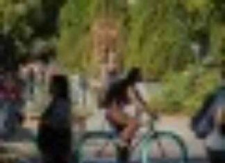 Decline in Financial Aid Applications Among California High School Seniors decline-in-financial-aid-applications-among-california-high-school-seniors