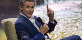 digital-democracy-tool-supports-wildfire-victims-in-newsoms-nitiative