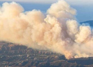 Ensuring Air Safety in Los Angeles: Federal Action Needed for Wildfire Pollution ensuring-air-safety-in-los-angeles-federal-action-needed-for-wildfire-pollution