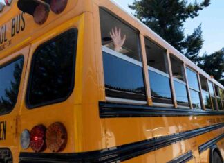 Ensuring Children’s Constitutional Right to Public Education: Expert Opinion ensuring-childrens-constitutional-right-to-public-education-expert-opinion