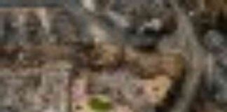 future-uncertain-for-victims-of-la-mobile-home-park-fire