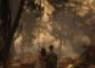 Holding Fossil Fuel Companies Accountable for Los Angeles Wildfire Damages holding-fossil-fuel-companies-accountable-for-los-angeles-wildfire-damages