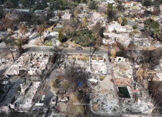 Language barriers impact Asian communities during L.A. wildfires, UCLA study language-barriers-impact-asian-communities-during-la-wildfires-ucla-study