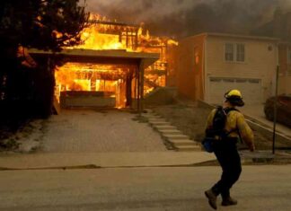 Lawmakers Urge California to Expedite Rules for L.A. Fire Mitigation lawmakers-urge-california-to-expedite-rules-for-la-fire-mitigation