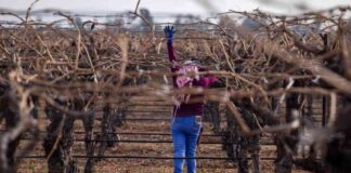 lawsuit-against-border-patrol-for-kern-county-mmigration-raid