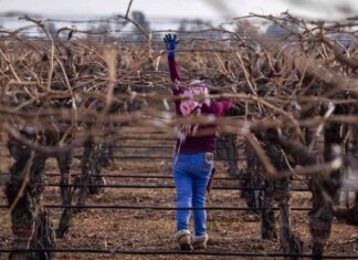 Lawsuit Against Border Patrol for Kern County Immigration Raid lawsuit-against-border-patrol-for-kern-county-mmigration-raid