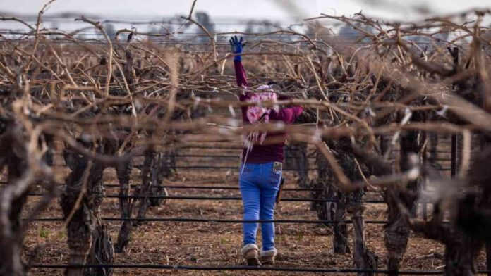 lawsuit-against-border-patrol-for-kern-county-mmigration-raid