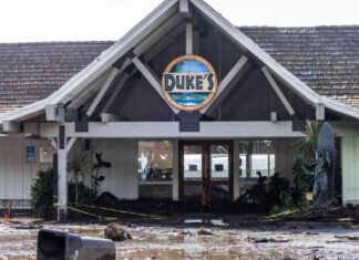 Malibu’s Duke’s Restaurant Recovers from Fire with Cleanup Efforts malibus-dukes-restaurant-recovers-from-fire-with-cleanup-efforts