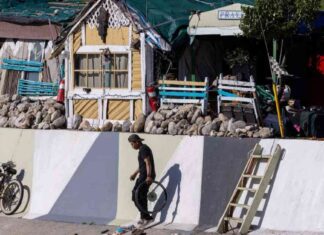 Man Builds Home with Windows and Garden at 5-Year Encampment man-builds-home-with-windows-and-garden-at-5-year-encampment