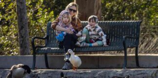 mild-weather-forecast-for-los-angeles-region