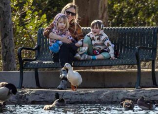 Mild Weather Forecast for Los Angeles Region mild-weather-forecast-for-los-angeles-region