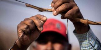 mmigration-crackdown-mpact-on-reporting-hazards-advocates-warn