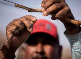 Immigration Crackdown Impact on Reporting Hazards: Advocates Warn mmigration-crackdown-mpact-on-reporting-hazards-advocates-warn