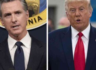Newsom and Trump discuss post-election unity efforts newsom-and-trump-discuss-post-election-unity-efforts