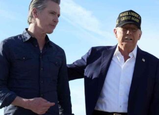 Political Analysis: Gavin Newsom vs. Donald Trump Deal-Making political-analysis-gavin-newsom-vs-donald-trump-deal-making