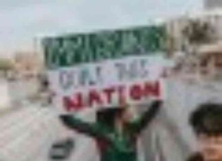 Protests in California Against Deportations and Elon Musk’s DOGE protests-in-california-against-deportations-and-elon-musks-doge