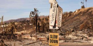 reopening-of-pch-and-pacific-palisades-sparks-debate-s-it-premature