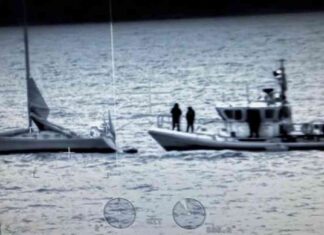 Rescued Boater Found off Catalina Coast; Dog Still Missing rescued-boater-found-off-catalina-coast-dog-still-missing