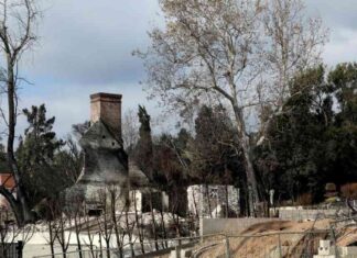 State Fire Safety Rules: Limiting Combustibles Near Homes for Safety state-fire-safety-rules-limiting-combustibles-near-homes-for-safety