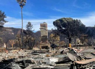 Tommy Hawkins’ Loss in Palisades Fire: A Devastating Tragedy tommy-hawkins-loss-in-palisades-fire-a-devastating-tragedy