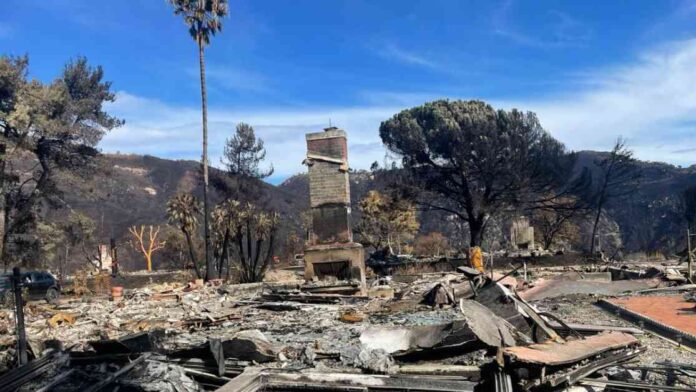 tommy-hawkins-loss-in-palisades-fire-a-devastating-tragedy