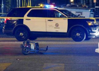 Tragic Crash: Pocket Bike Ridden by Boy Wedged in Car tragic-crash-pocket-bike-ridden-by-boy-wedged-in-car