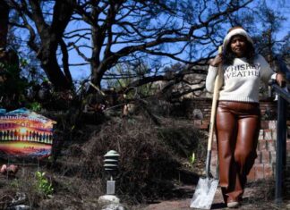 Altadena Community Seeks Rebuild Guidance After Debris Removal altadena-community-seeks-rebuild-guidance-after-debris-removal