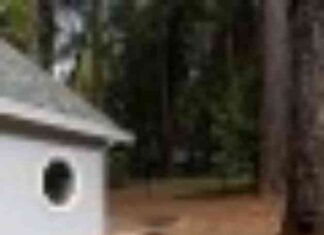 California allocates $1.5 billion for wildfire prevention efforts. california-allocates-15-billion-for-wildfire-prevention-efforts